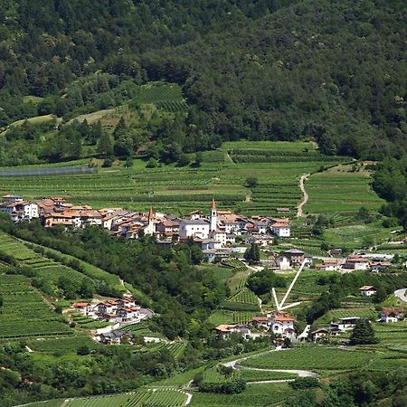 B&B Casa Zeni Faedo Екстериор снимка